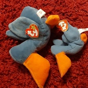 Scoop Beanie Baby and Scoop Teenie Beanie